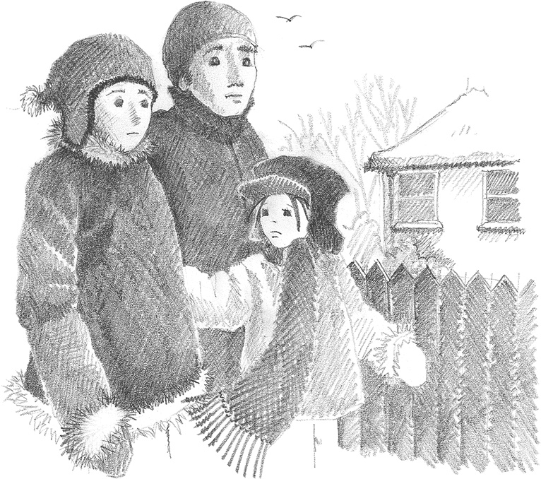 Котёнок Снежинка, или Зимнее волшебство Котёнок Снежинка, или Зимнее волшебство