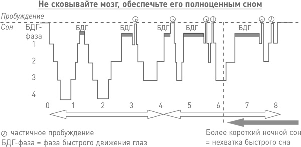 Мозг освобожденный. Как предотвратить перегрузки и использовать свой потенциал на полную мощь Мозг освобожденный. Как предотвратить перегрузки и использовать свой потенциал на полную мощь