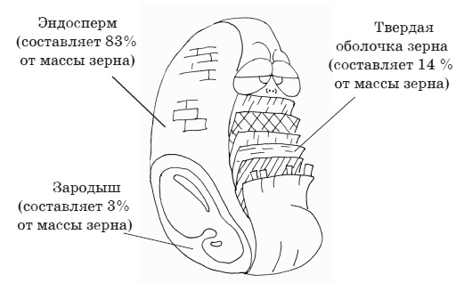 Палеодиета – живое питание для здоровья Палеодиета – живое питание для здоровья