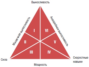 Библия велосипедиста Библия велосипедиста
