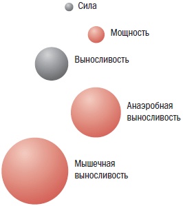Библия велосипедиста Библия велосипедиста