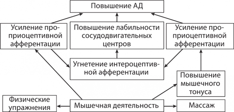 Атлас. Практический массаж Атлас. Практический массаж