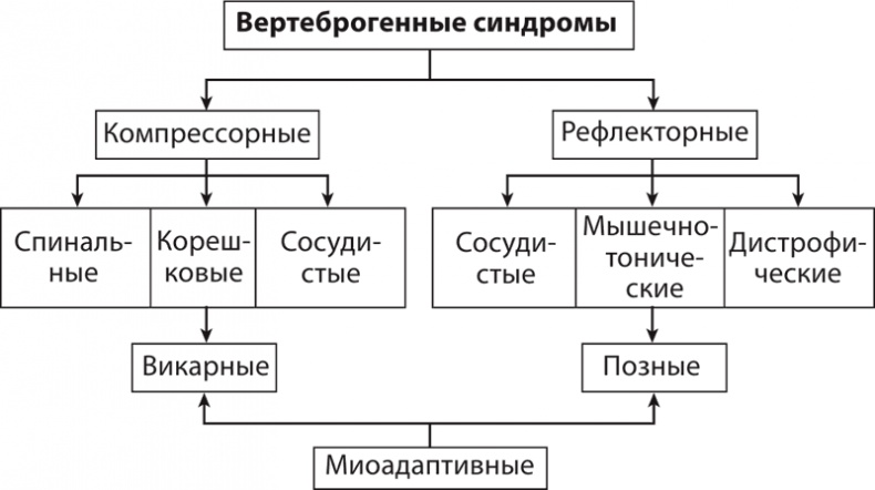 Атлас. Практический массаж Атлас. Практический массаж