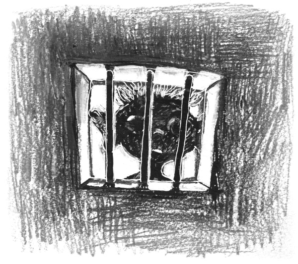 Проверка на смелость Проверка на смелость