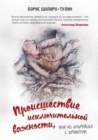 Происшествие исключительной важности, или Из Бобруйска с приветом - Борис Шапиро-Тулин