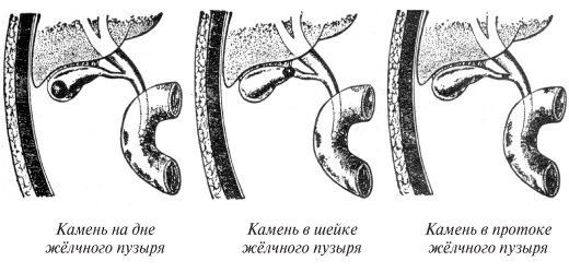 Империя хирургов Империя хирургов