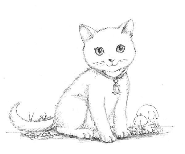 Котёнок Амелия, или Колокольчик-невидимка Котёнок Амелия, или Колокольчик-невидимка
