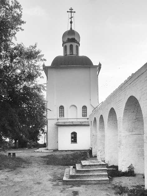 Вилы Вилы