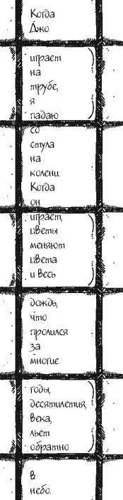 Небо повсюду