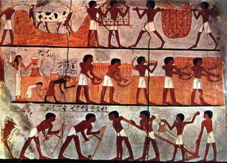 Sapiens. Краткая история человечества Sapiens. Краткая история человечества