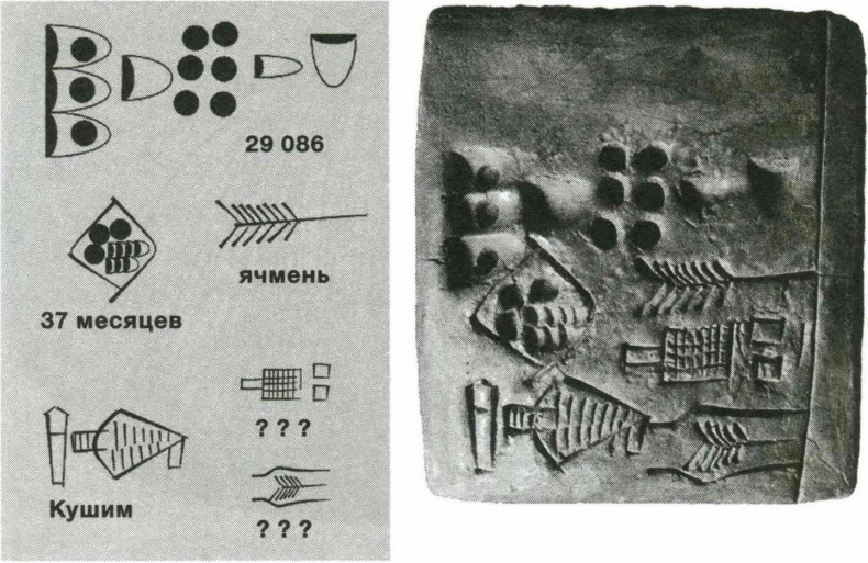 Sapiens. Краткая история человечества