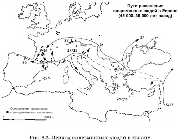 На заре человечества. Неизвестная история наших предков На заре человечества. Неизвестная история наших предков