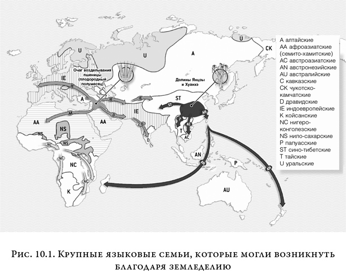 На заре человечества. Неизвестная история наших предков На заре человечества. Неизвестная история наших предков