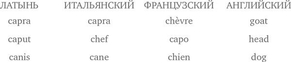 На заре человечества. Неизвестная история наших предков На заре человечества. Неизвестная история наших предков