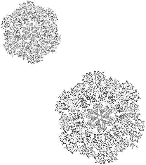 Сказки сироты: Города монет и пряностей Сказки сироты: Города монет и пряностей