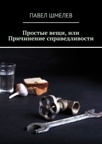 Простые вещи, или Причинение справедливости - Павел Шмелев