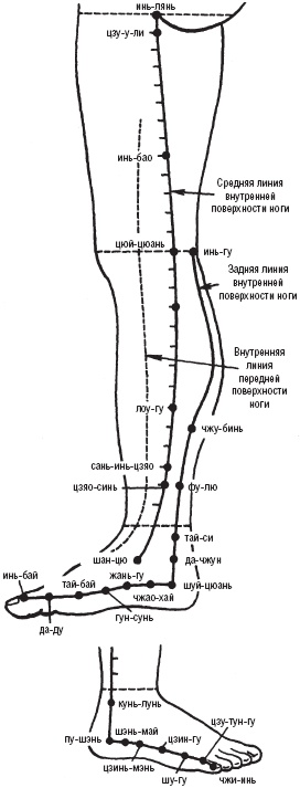 Лечебные точки организма. Снимаем боли в суставах и мышцах, укрепляем кожу, вены, сон и иммунитет Лечебные точки организма. Снимаем боли в суставах и мышцах, укрепляем кожу, вены, сон и иммунитет