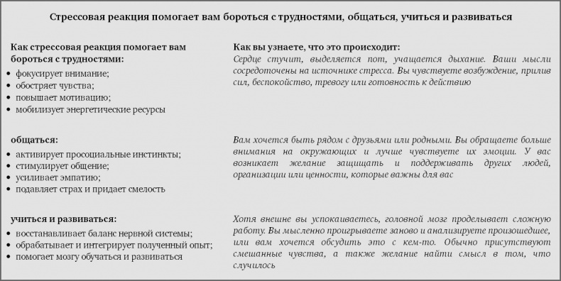 Хороший стресс как способ стать сильнее и лучше