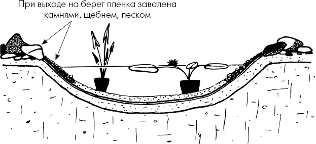 Главные секреты вашего сада и огорода (переиздание) Главные секреты вашего сада и огорода (переиздание)