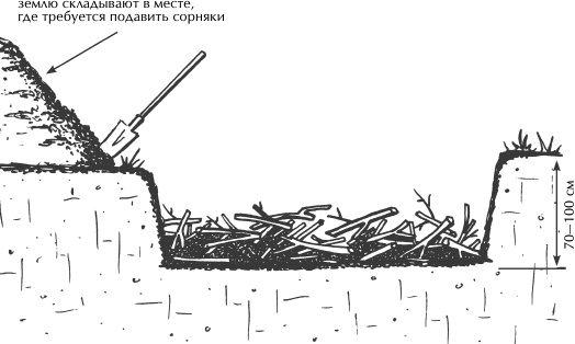 Большая книга сада и огорода по-новому Большая книга сада и огорода по-новому