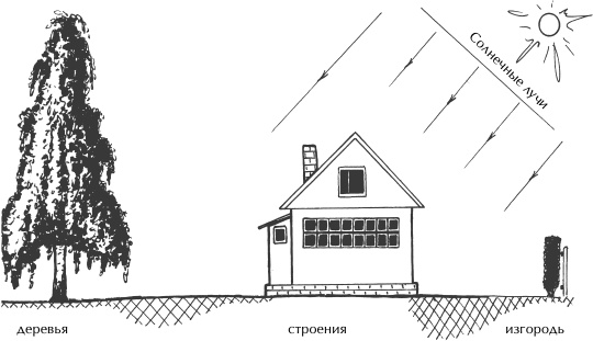 Большая книга сада и огорода по-новому Большая книга сада и огорода по-новому