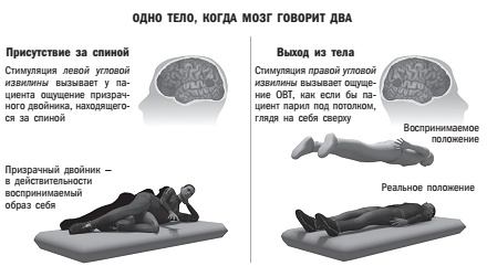 Наука о мозге и миф о своем Я. Тоннель Эго Наука о мозге и миф о своем Я. Тоннель Эго
