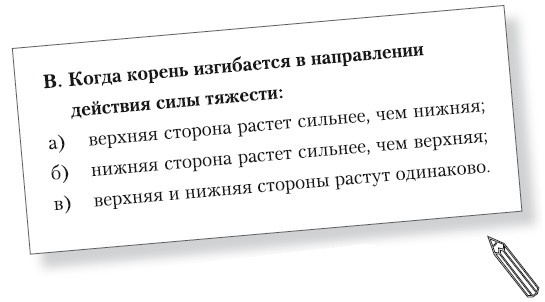 Как стать звездой YouTube. Экстра_Эбби: Бунтарка Как стать звездой YouTube. Экстра_Эбби: Бунтарка