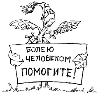 Как избавиться от вредителей и болезней, не навредив себе Как избавиться от вредителей и болезней, не навредив себе