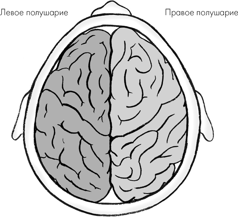 Почему мы делаем то, что мы делаем Почему мы делаем то, что мы делаем