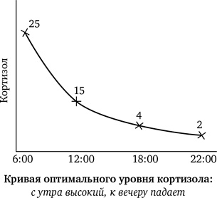 Синдром белки в колесе: Как сохранить здоровье и сберечь нервы в мире бесконечных дел Синдром белки в колесе: Как сохранить здоровье и сберечь нервы в мире бесконечных дел