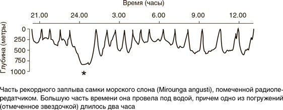 На грани возможного. Наука выживания На грани возможного. Наука выживания