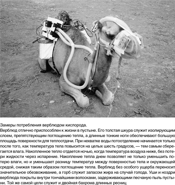 На грани возможного. Наука выживания На грани возможного. Наука выживания