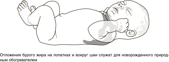На грани возможного. Наука выживания На грани возможного. Наука выживания