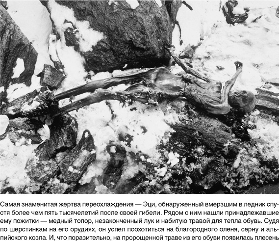 На грани возможного. Наука выживания На грани возможного. Наука выживания