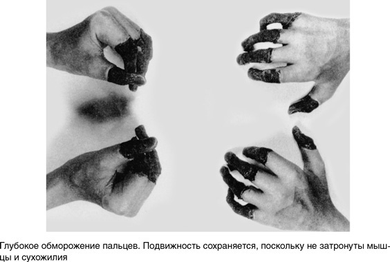 На грани возможного. Наука выживания На грани возможного. Наука выживания