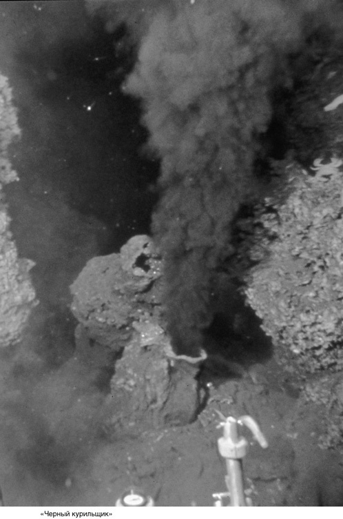 На грани возможного. Наука выживания На грани возможного. Наука выживания