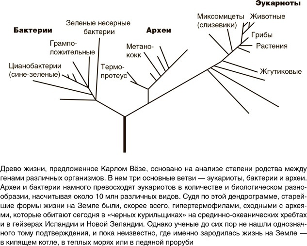 На грани возможного. Наука выживания На грани возможного. Наука выживания