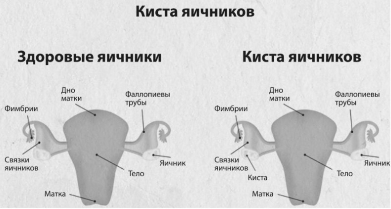 Девочка. Девушка. Женщина Девочка. Девушка. Женщина