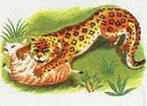 Последний окножираф Последний окножираф