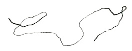 Стелла и седьмая звезда. Вторая истина Стелла и седьмая звезда. Вторая истина