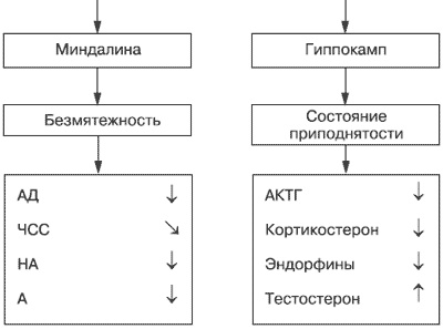 Эмоции и чувства Эмоции и чувства