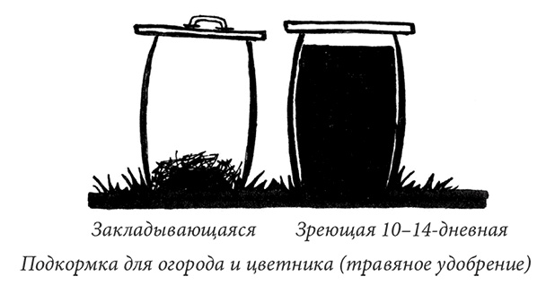 Секреты доброй почвы для чудо-урожая Секреты доброй почвы для чудо-урожая
