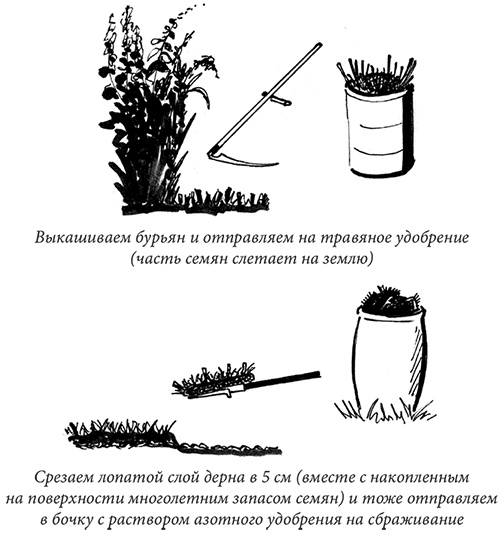 Секреты доброй почвы для чудо-урожая Секреты доброй почвы для чудо-урожая