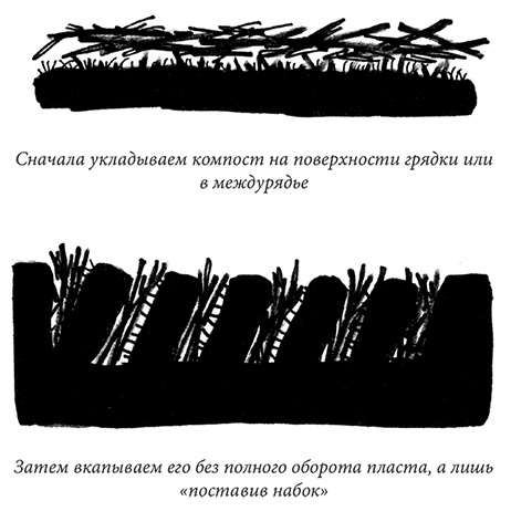 Секреты доброй почвы для чудо-урожая Секреты доброй почвы для чудо-урожая