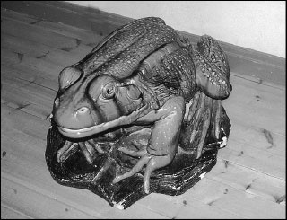Русская Финляндия Русская Финляндия