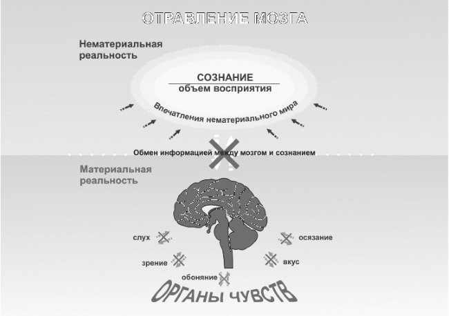 Парадоксальное дыхание для начинающих Парадоксальное дыхание для начинающих