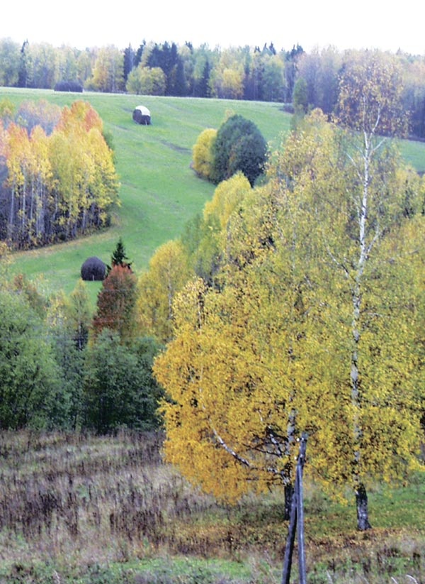 Тихая Виледь