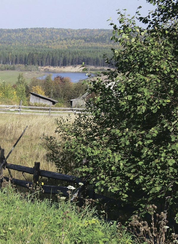 Тихая Виледь