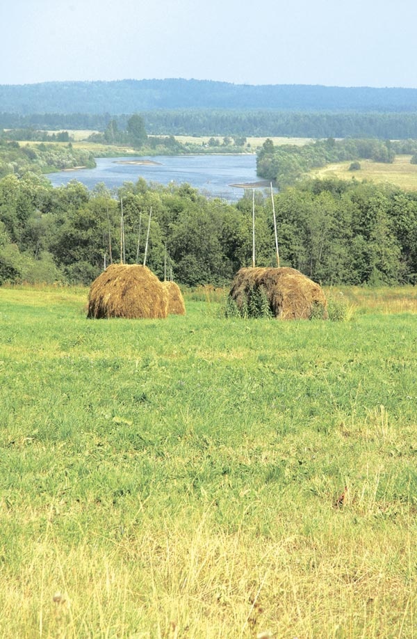 Тихая Виледь