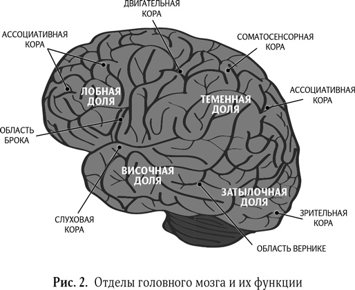 Воспитание без шаблонов. Научитесь слышать своего ребенка Воспитание без шаблонов. Научитесь слышать своего ребенка